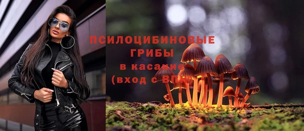 соль курить ск Алзамай